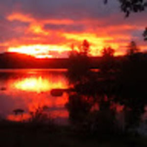 Meet your Posher, Oriane